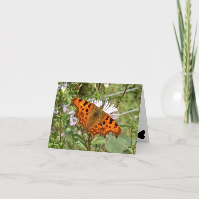 Butterfly Notecard - Comma Kort (Framsida)