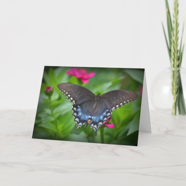 Butterfly Notecard Kort (Framsida)