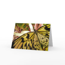 Butterfly Notecard