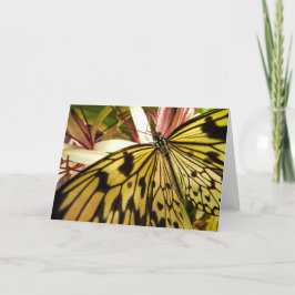 Butterfly Notecard Kort