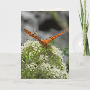 Butterfly och Bee, tomt gratulationskort Kort