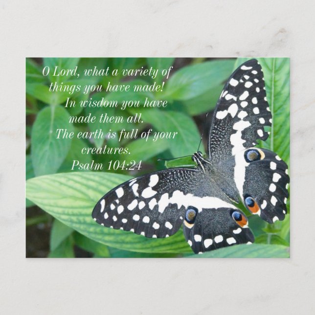 Butterfly och Bible Verse Vykort (Framsida)