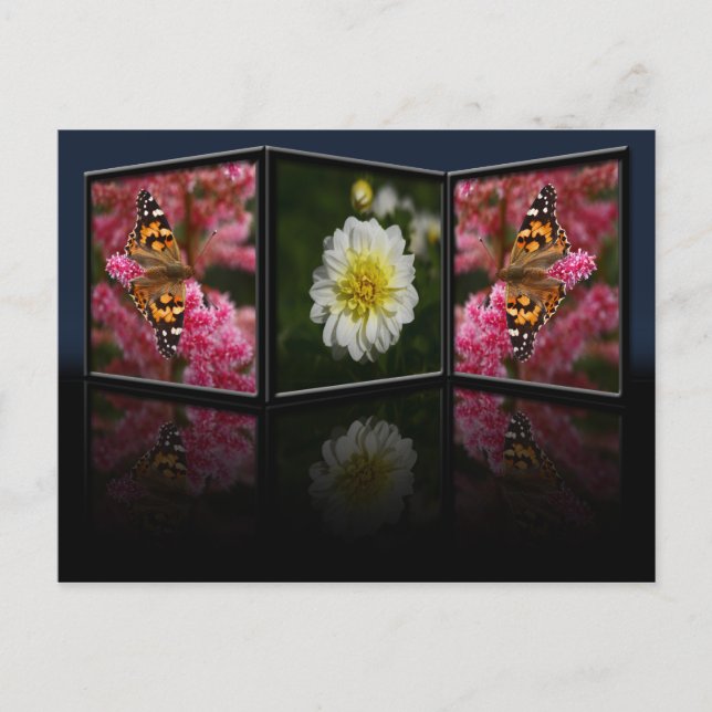 Butterfly och Dahlia Postcard Vykort (Framsida)