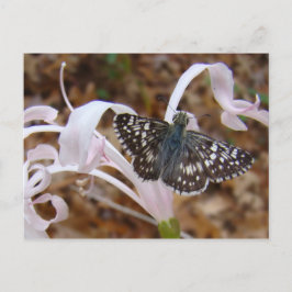 Butterfly och Dancing Flower Vykort