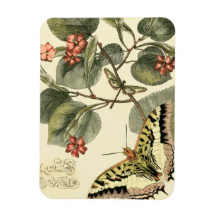 Butterfly och Dragonfly med Röda blommor Magnet