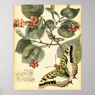 Butterfly och Dragonfly med Röda blommor Poster