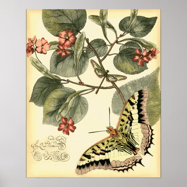 Butterfly och Dragonfly med Röda blommor Poster (Framsidan)