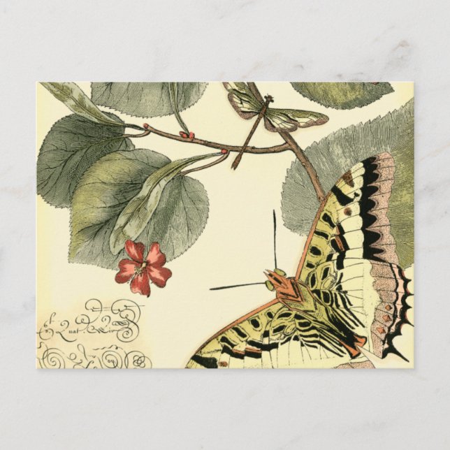 Butterfly och Dragonfly med Röda blommor Vykort (Framsida)