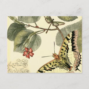 Butterfly och Dragonfly med Röda blommor Vykort