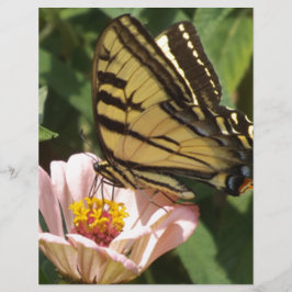 Butterfly och Flower