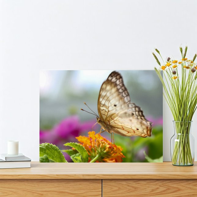 Butterfly och Flower Close Photo Fototryck (Tropical butterfly nature print with orange and purple pink flowers. Simple and vibrant.)