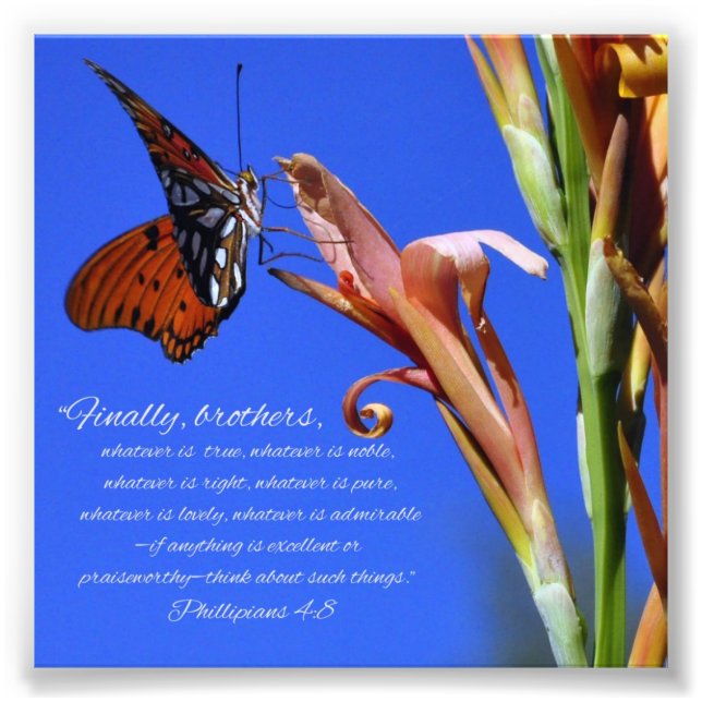 Butterfly och Flower Phillipians 4:8 Scripture Fototryck (Framsidan)