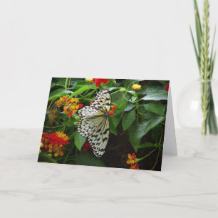 Butterfly och Flowers Hi/Hej Greeting Card Kort