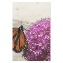 Butterfly och Giant Onion