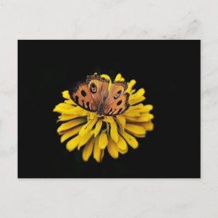 Butterfly och gult-blomma vykort