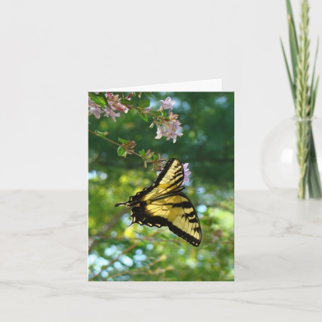 Butterfly och Himlar Kort (Framsida)