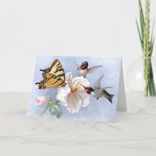 Butterfly och Hummingbird Kort