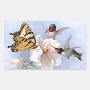 Butterfly och Hummingbird Rektangulärt Klistermärke