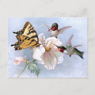 Butterfly och Hummingbird Vykort