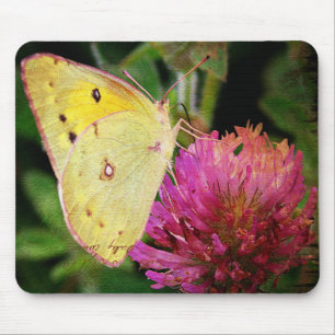 Butterfly och Klöver Musmatta