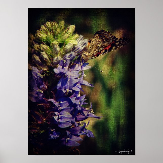 Butterfly och Lila blommor Poster (Framsidan)