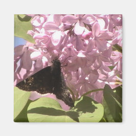 Butterfly och Lilacs Magnet