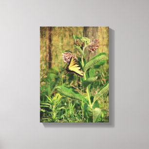 Butterfly och Milkweed Canvastryck