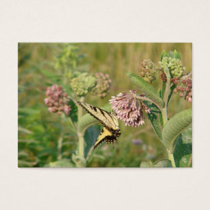 Butterfly och Milkweed Visitkort