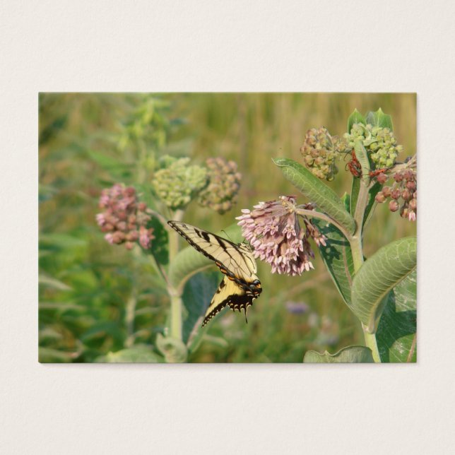 Butterfly och Milkweed Visitkort (Framsidan)