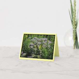 Butterfly och Monarda Notecard Kort