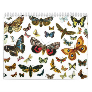 Butterfly och Moth Lithographs Kalender