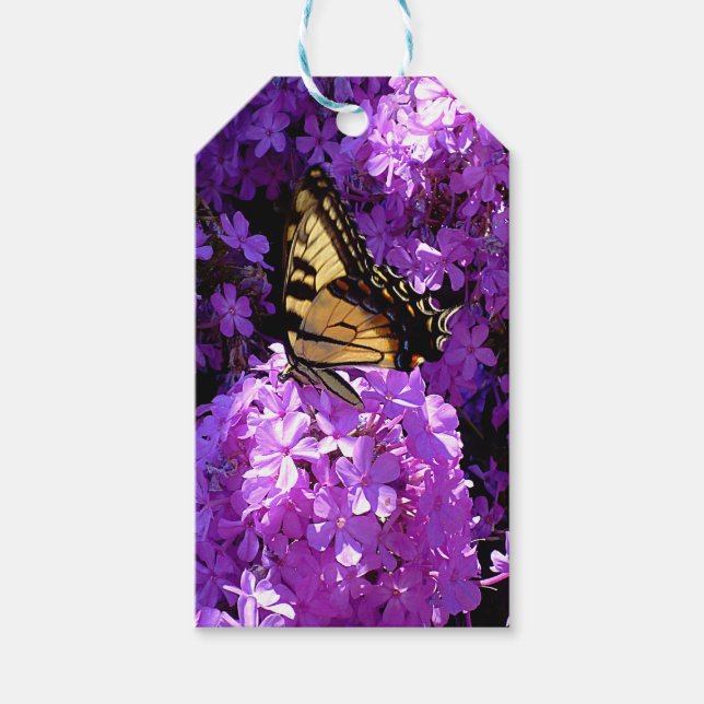 Butterfly och Phlox Presentetikett (Framsidan)