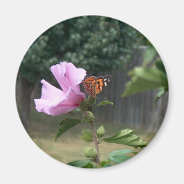 Butterfly och Ro i Sharon Magnet