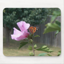 Butterfly och Ro i Sharon