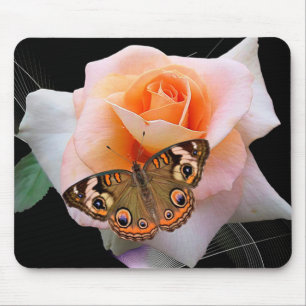 Butterfly och Ro Musmatta