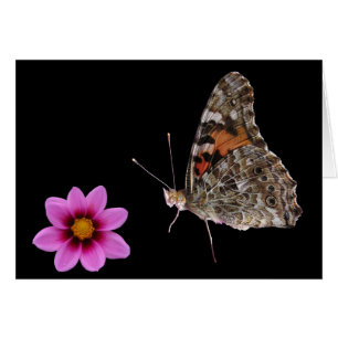 Butterfly och Rosa Flower Hälsningskort