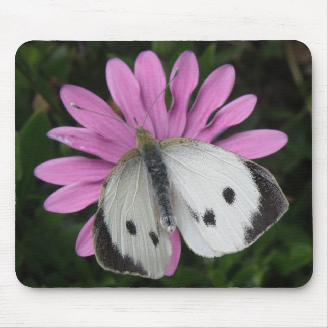 Butterfly och Rosa Flower Mousepad Musmatta (Framsidan)