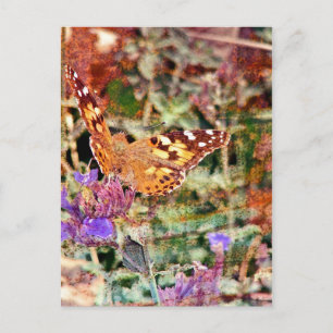 Butterfly och Rust Vykort