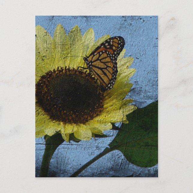 Butterfly och Solros Vykort (Framsida)