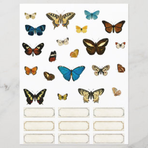 Butterfly och Specimen Märkres Scrapbooking Inslag
