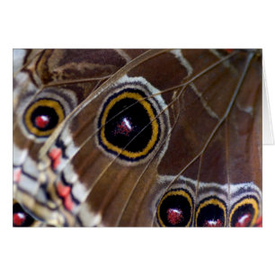Butterfly Öga Hälsningskort