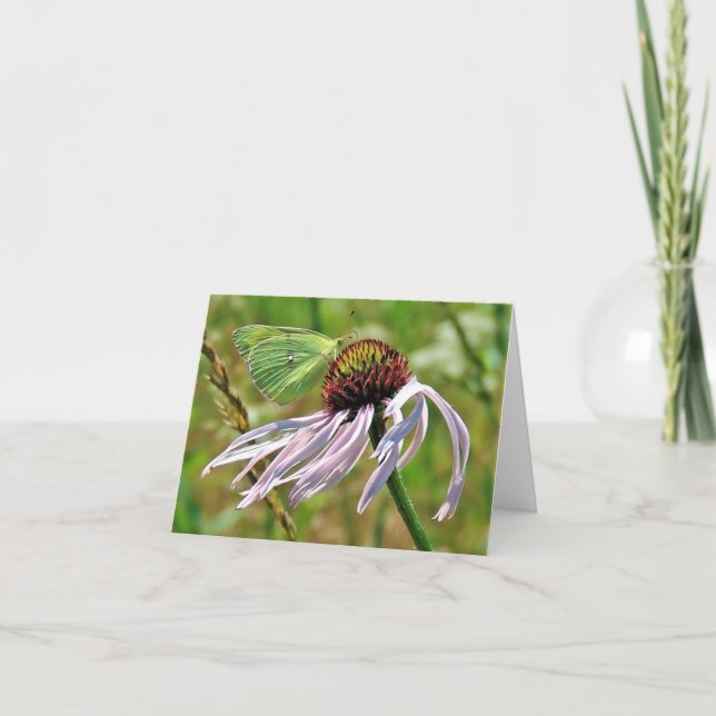 Butterfly on Blek Lila Coneflower Note Card Anteckningskort (Framsida)