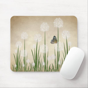 Butterfly On Dandelion Musmatta
