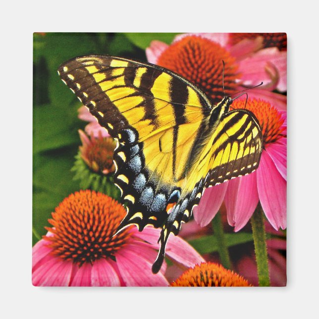 Butterfly on Flower v22 Magnet (Framsidan)