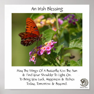 Butterfly On Flowers ~ Irish Blating Poster