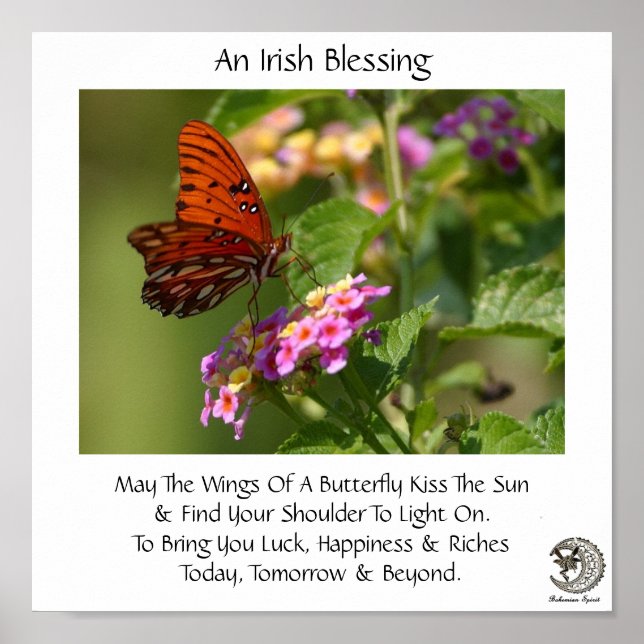 Butterfly On Flowers ~ Irish Blating Poster (Framsidan)