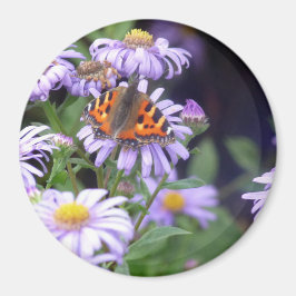 Butterfly On Flowers Magnet