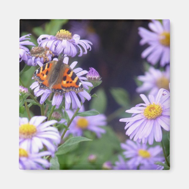 Butterfly On Flowers Magnet (Framsidan)