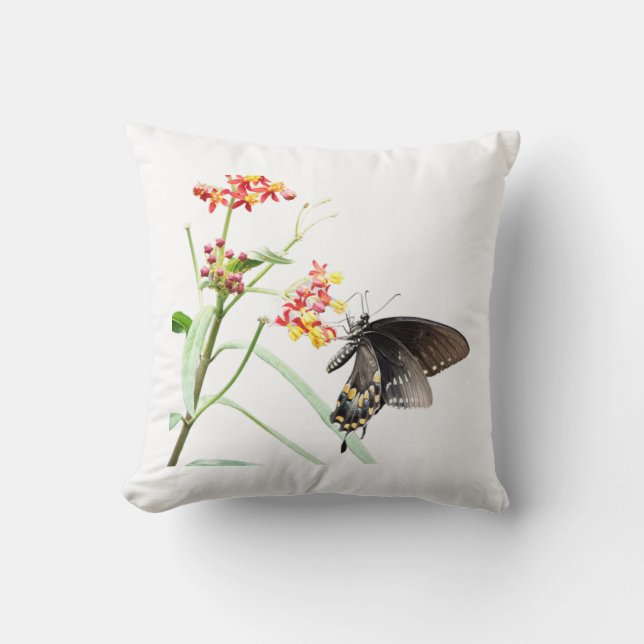Butterfly on Milkweed Blooms, White Dekorativ kudd Kudde (Framsida)