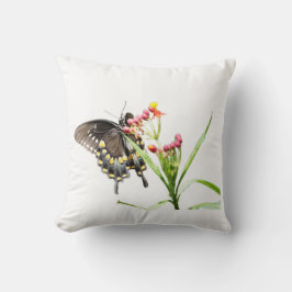 Butterfly on Milkweed Blooms, White Kudde